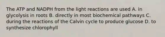 The ATP and NADPH from the light reactions are used A. in glycolysis in roots B. directly in most biochemical pathways C. during the reactions of the Calvin cycle to produce glucose D. to synthesize chlorophyll