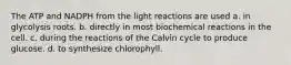 The ATP and NADPH from the light reactions are used a. in glycolysis roots. b. directly in most biochemical reactions in the cell. c. during the reactions of the Calvin cycle to produce glucose. d. to synthesize chlorophyll.