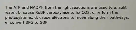 The ATP and NADPH from the light reactions are used to a. split water. b. cause RuBP carboxylase to fix CO2. c. re-form the photosystems. d. cause electrons to move along their pathways. e. convert 3PG to G3P