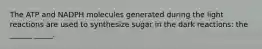 The ATP and NADPH molecules generated during the light reactions are used to synthesize sugar in the dark reactions: the ______ _____.