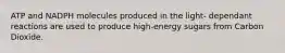 ATP and NADPH molecules produced in the light- dependant reactions are used to produce high-energy sugars from Carbon Dioxide.