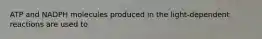 ATP and NADPH molecules produced in the light-dependent reactions are used to
