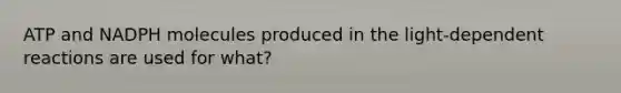 ATP and NADPH molecules produced in the light-dependent reactions are used for what?