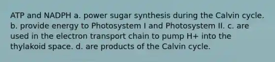 ATP and NADPH a. power sugar synthesis during the Calvin cycle. b. provide energy to Photosystem I and Photosystem II. c. are used in the electron transport chain to pump H+ into the thylakoid space. d. are products of the Calvin cycle.