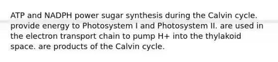 ATP and NADPH power sugar synthesis during the Calvin cycle. provide energy to Photosystem I and Photosystem II. are used in the electron transport chain to pump H+ into the thylakoid space. are products of the Calvin cycle.