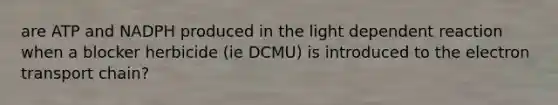 are ATP and NADPH produced in the light dependent reaction when a blocker herbicide (ie DCMU) is introduced to the electron transport chain?