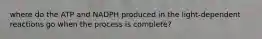 where do the ATP and NADPH produced in the light-dependent reactions go when the process is complete?