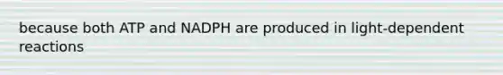 because both ATP and NADPH are produced in light-dependent reactions