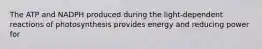 The ATP and NADPH produced during the light-dependent reactions of photosynthesis provides energy and reducing power for