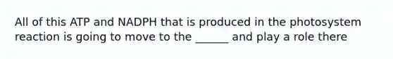 All of this ATP and NADPH that is produced in the photosystem reaction is going to move to the ______ and play a role there