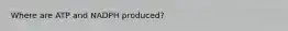 Where are ATP and NADPH produced?