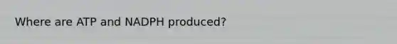 Where are ATP and NADPH produced?