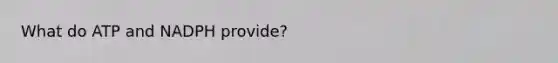 What do ATP and NADPH provide?