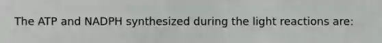 The ATP and NADPH synthesized during the light reactions are: