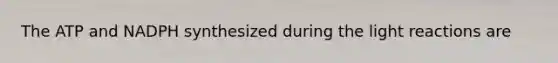 The ATP and NADPH synthesized during the <a href='https://www.questionai.com/knowledge/kSUoWrrvoC-light-reactions' class='anchor-knowledge'>light reactions</a> are