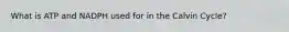 What is ATP and NADPH used for in the Calvin Cycle?