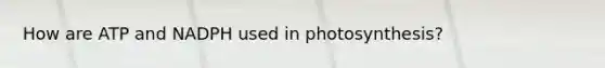 How are ATP and NADPH used in photosynthesis?