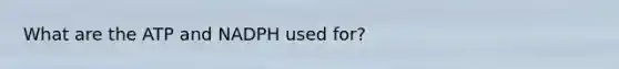 What are the ATP and NADPH used for?