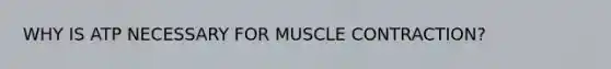 WHY IS ATP NECESSARY FOR MUSCLE CONTRACTION?