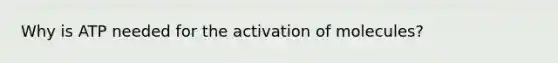 Why is ATP needed for the activation of molecules?