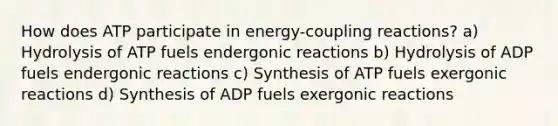 How does ATP participate in energy-coupling reactions? a) Hydrolysis of ATP fuels endergonic reactions b) Hydrolysis of ADP fuels endergonic reactions c) Synthesis of ATP fuels exergonic reactions d) Synthesis of ADP fuels exergonic reactions