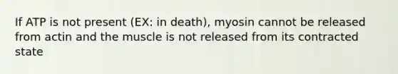 If ATP is not present (EX: in death), myosin cannot be released from actin and the muscle is not released from its contracted state