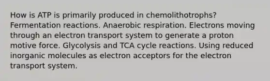 How is ATP is primarily produced in chemolithotrophs? Fermentation reactions. Anaerobic respiration. Electrons moving through an electron transport system to generate a proton motive force. Glycolysis and TCA cycle reactions. Using reduced inorganic molecules as electron acceptors for the electron transport system.