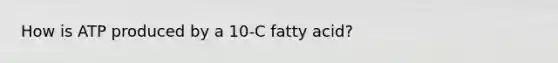 How is ATP produced by a 10-C fatty acid?