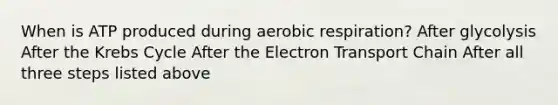 When is ATP produced during aerobic respiration? After glycolysis After the Krebs Cycle After the Electron Transport Chain After all three steps listed above