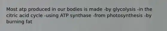 Most atp produced in our bodies is made -by glycolysis -in the citric acid cycle -using ATP synthase -from photosynthesis -by burning fat