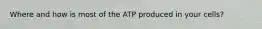 Where and how is most of the ATP produced in your cells?