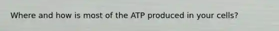 Where and how is most of the ATP produced in your cells?