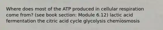 Where does most of the ATP produced in cellular respiration come from? (see book section: Module 6.12) lactic acid fermentation the citric acid cycle glycolysis chemiosmosis