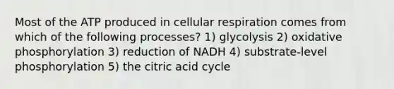 Most of the ATP produced in cellular respiration comes from which of the following processes? 1) glycolysis 2) oxidative phosphorylation 3) reduction of NADH 4) substrate-level phosphorylation 5) the citric acid cycle