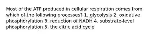 Most of the ATP produced in cellular respiration comes from which of the following processes? 1. glycolysis 2. <a href='https://www.questionai.com/knowledge/kFazUb9IwO-oxidative-phosphorylation' class='anchor-knowledge'>oxidative phosphorylation</a> 3. reduction of NADH 4. substrate-level phosphorylation 5. the citric acid cycle