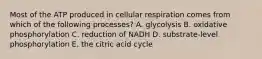 Most of the ATP produced in cellular respiration comes from which of the following processes? A. glycolysis B. oxidative phosphorylation C. reduction of NADH D. substrate-level phosphorylation E. the citric acid cycle