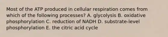 Most of the ATP produced in cellular respiration comes from which of the following processes? A. glycolysis B. oxidative phosphorylation C. reduction of NADH D. substrate-level phosphorylation E. the citric acid cycle