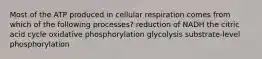 Most of the ATP produced in cellular respiration comes from which of the following processes? reduction of NADH the citric acid cycle oxidative phosphorylation glycolysis substrate-level phosphorylation