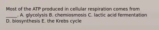 Most of the ATP produced in cellular respiration comes from _____. A. glycolysis B. chemiosmosis C. lactic acid fermentation D. biosynthesis E. the <a href='https://www.questionai.com/knowledge/kqfW58SNl2-krebs-cycle' class='anchor-knowledge'>krebs cycle</a>