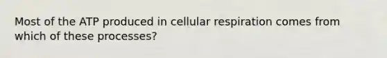 Most of the ATP produced in cellular respiration comes from which of these processes?