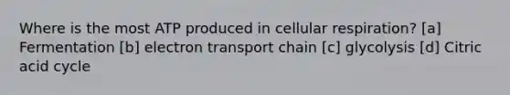 Where is the most ATP produced in cellular respiration? [a] Fermentation [b] electron transport chain [c] glycolysis [d] Citric acid cycle