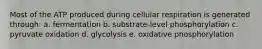 Most of the ATP produced during cellular respiration is generated through: a. fermentation b. substrate-level phosphorylation c. pyruvate oxidation d. glycolysis e. oxidative phosphorylation