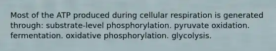 Most of the ATP produced during cellular respiration is generated through: substrate-level phosphorylation. pyruvate oxidation. fermentation. oxidative phosphorylation. glycolysis.