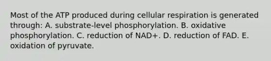 Most of the ATP produced during cellular respiration is generated through: A. substrate-level phosphorylation. B. oxidative phosphorylation. C. reduction of NAD+. D. reduction of FAD. E. oxidation of pyruvate.