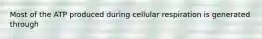 Most of the ATP produced during cellular respiration is generated through