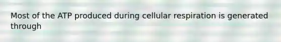 Most of the ATP produced during cellular respiration is generated through