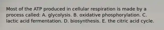 Most of the ATP produced in cellular respiration is made by a process called: A. glycolysis. B. oxidative phosphorylation. C. lactic acid fermentation. D. biosynthesis. E. the citric acid cycle.