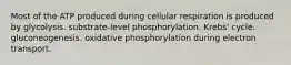 Most of the ATP produced during cellular respiration is produced by glycolysis. substrate-level phosphorylation. Krebs' cycle. gluconeogenesis. oxidative phosphorylation during electron transport.