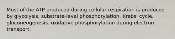 Most of the ATP produced during cellular respiration is produced by glycolysis. substrate-level phosphorylation. Krebs' cycle. gluconeogenesis. oxidative phosphorylation during electron transport.