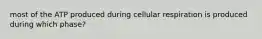 most of the ATP produced during cellular respiration is produced during which phase?